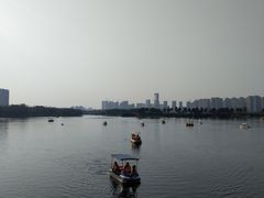 -洋湖国家湿地公园