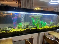 -水立方国际汤泉(六一中路店)