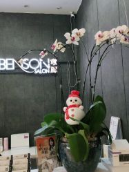 -意廊 Hair Salon