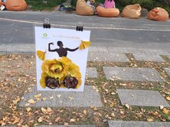 -昆山城市生态森林公园