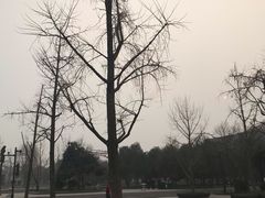 -大雁塔北广场音乐喷泉