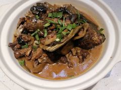 红烧甲鱼-金锅小厨(乐活街店)