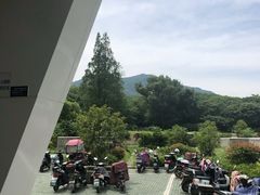 -紫金山山顶公园