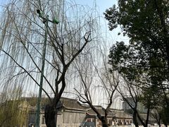 -水绘园