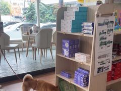 -瑞派紫金宠物医院24小时·骨科·中兽医·重症转诊中心(番禺大石院)
