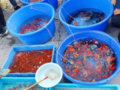 -华声天桥民俗文化园