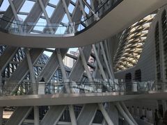 -凤凰中心