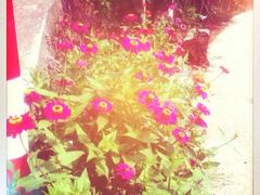 -东天目山风景区