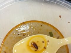 -老盛兴汤包馆(江宁一店)