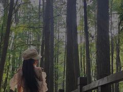 -东湖落雁景区