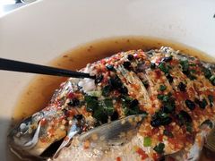 -味派菜园子(华章保利拾光荟店)