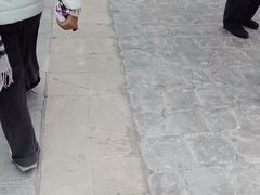 -巴黎圣母院