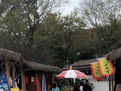 -秀丽东方