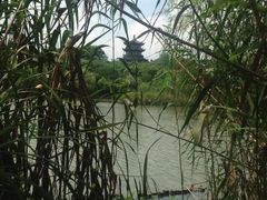 -梁鸿国家湿地公园