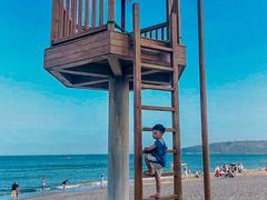 -广东惠东海龟国家级自然保护区
