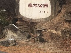 -白水寺森林公园
