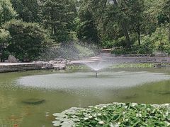 -香山公园