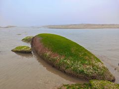 -日照灯塔风景区