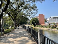 -晓港公园