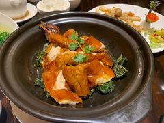 -湛江民大喜来登酒店-采悦轩中餐厅