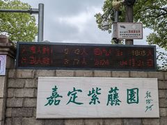 -嘉定紫藤园