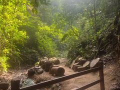 -西双版纳原始森林公园