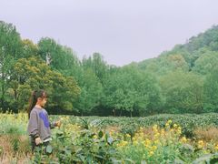 -中国茶叶博物馆(双峰馆区)