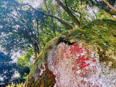 -九鲤湖风景区