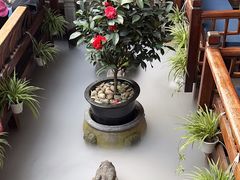 -三只耳火锅(宽窄巷子店)