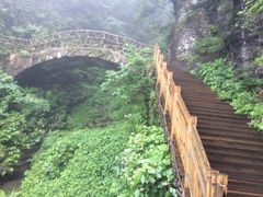 -天燕原始生态旅游区-天门垭景区