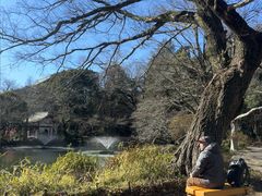 -井之头恩赐公园