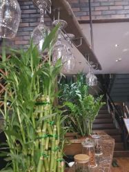 -谦亨·Hair·Salon