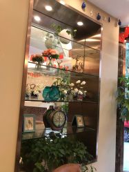 -碧莲盛·不剃发植发