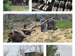 -亲兄弟真人CS团建拓展基地