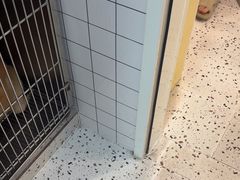 -瑞派康怡24h宠物医院·犬猫医疗中心·微创绝育(瑞景分院)