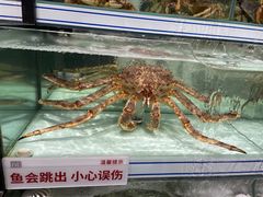 -胖东来生活广场(健康路店)