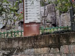 -金鸡山公园