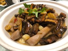 -楚灶王(徐东店)
