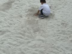 -映月湖中央公园