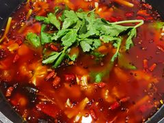 -重庆乌鱼庄·龙滋鲜(青羊大道店)
