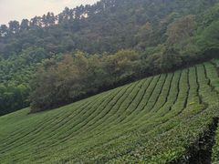 -敬亭山风景名胜区