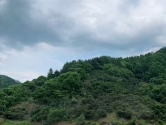 -新安江山水画廊风景区