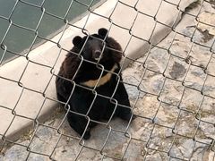 -石家庄市动物园