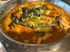 -老号尤兔头(幸福店)