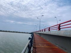 -漕湖湿地公园