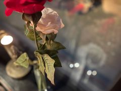 -花马天堂云南餐厅 Lost Heaven(外滩店)