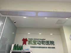 -悦宠凯宝动物医院·牙科·皮肤科(朝阳北路店)