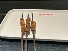 -红柳枝滩羊烧烤·非遗