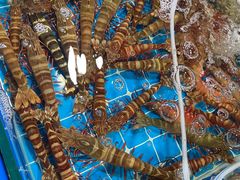 -鸿港海鲜批发市场