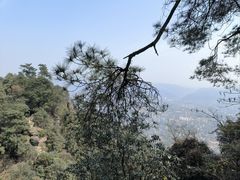 -缙云山景区